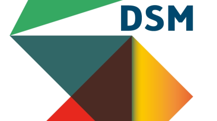Logo_DSM_fwa02